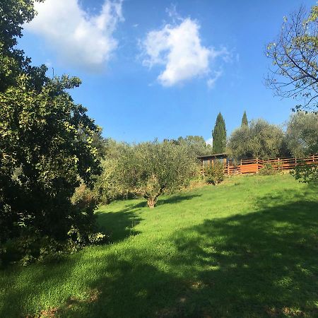 Madonnella Agricola Villa Cesano Exterior foto