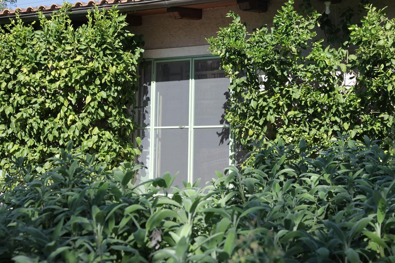 Madonnella Agricola Villa Cesano Exterior foto