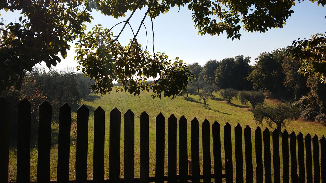 Madonnella Agricola Villa Cesano Exterior foto