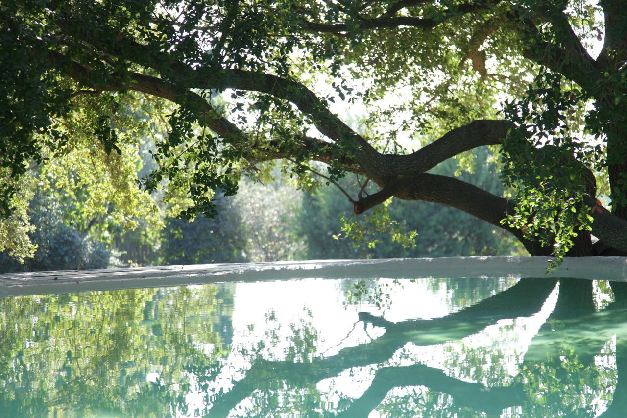 Madonnella Agricola Villa Cesano Exterior foto