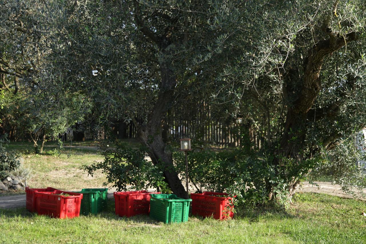 Madonnella Agricola Villa Cesano Exterior foto