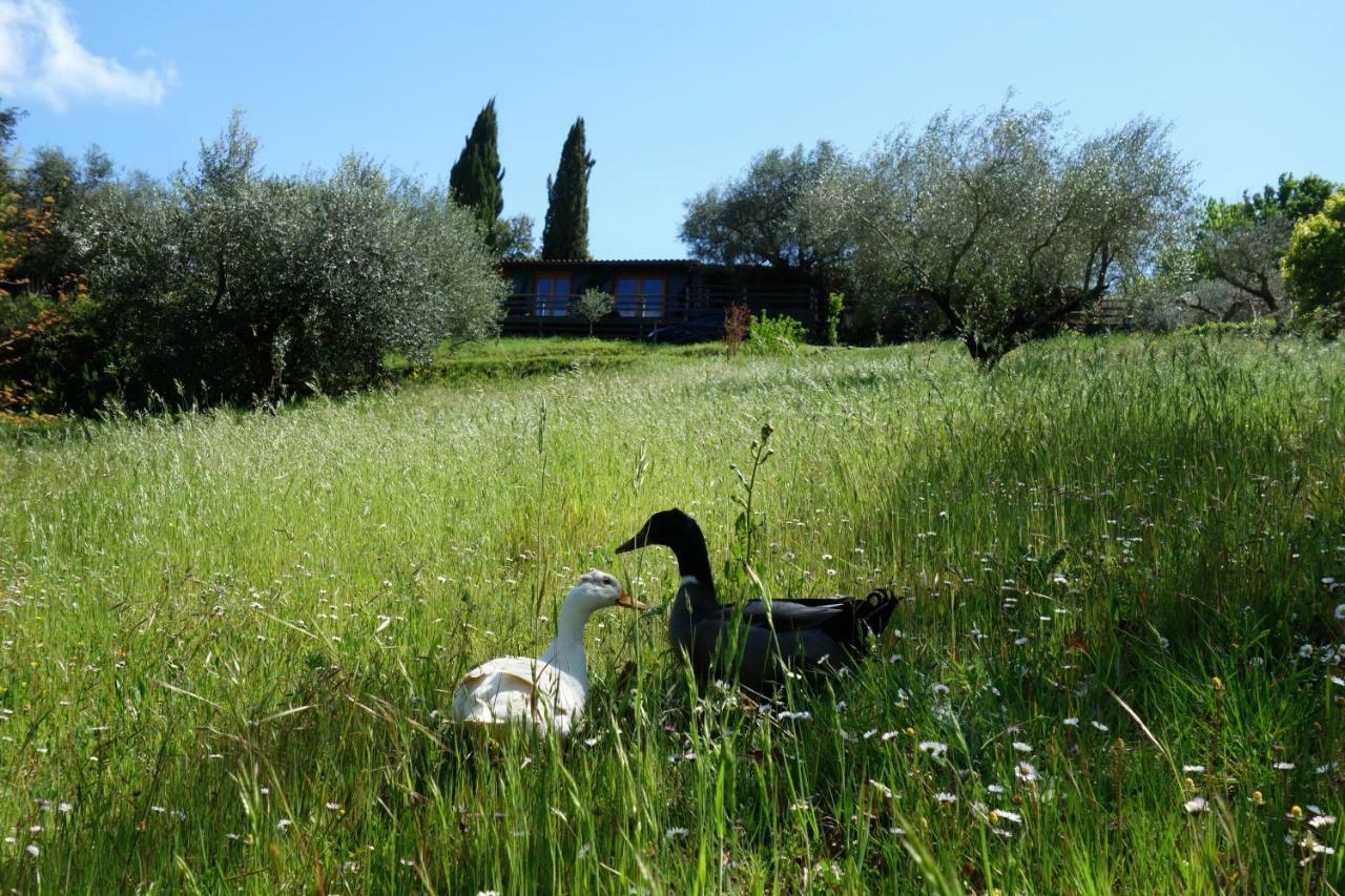 Madonnella Agricola Villa Cesano Exterior foto
